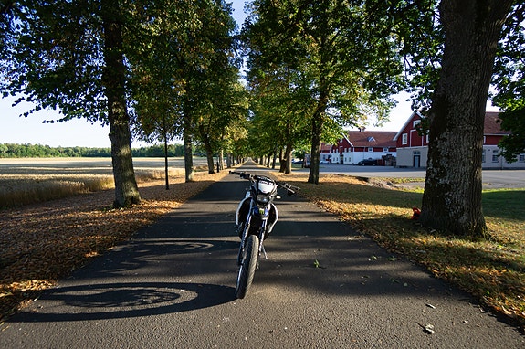 Yamaha Dt50x/rsm 11 of 16
