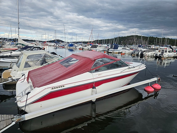 Searay 220cc 13 of 13