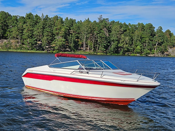 Searay 220cc 3 of 11