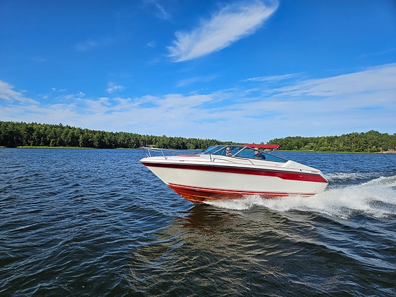 Searay 220cc 11 of 11