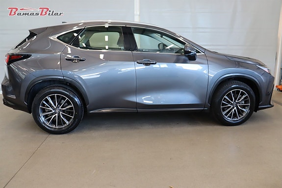 Lexus NX350h 6 of 25