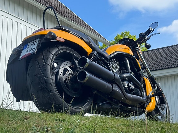Harley-Davidson VRSCDX Night Rod Special V rod 2 of 19
