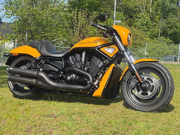 Harley-Davidson VRSCDX Night Rod Special V rod 17 of 19