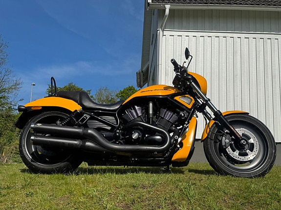 Harley-Davidson VRSCDX Night Rod Special V rod