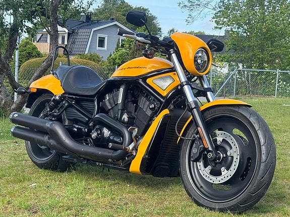 Harley-Davidson VRSCDX Night Rod Special V rod 10 of 19