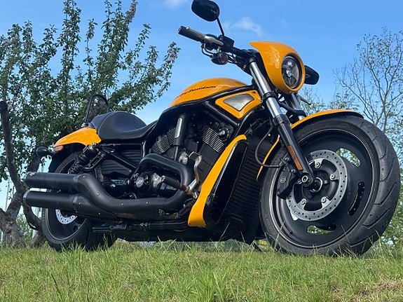 Harley-Davidson VRSCDX Night Rod Special V rod 11 of 19
