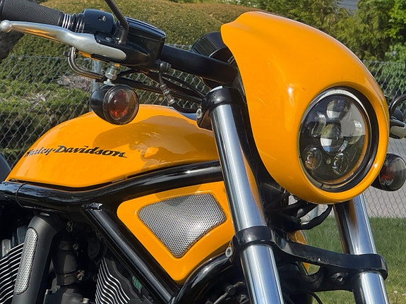 Harley-Davidson VRSCDX Night Rod Special V rod 15 of 19