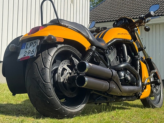 Harley-Davidson VRSCDX Night Rod Special V rod 8 of 19