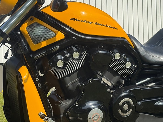 Harley-Davidson VRSCDX Night Rod Special V rod 12 of 19
