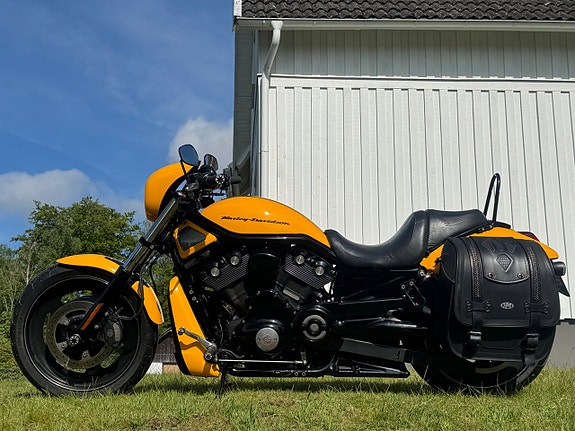 Harley-Davidson VRSCDX Night Rod Special V rod 3 of 19