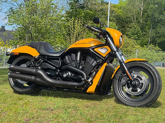 Harley-Davidson VRSCDX Night Rod Special V rod 16 of 19