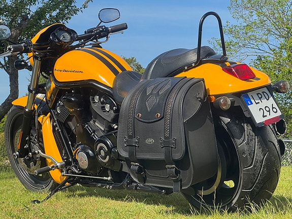 Harley-Davidson VRSCDX Night Rod Special V rod 5 of 19