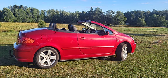Peugeot 307 CC 19 of 22