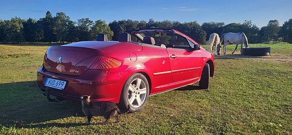 Peugeot 307 CC 18 of 22