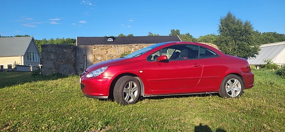 Peugeot 307 CC 20 of 22