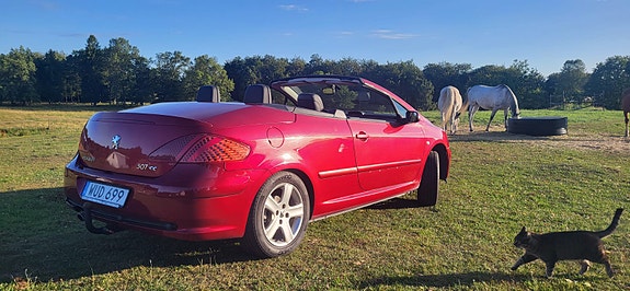 Peugeot 307 CC 14 of 22