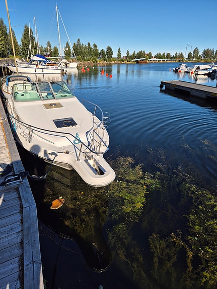 Sea Ray sundancer -95 2 of 8