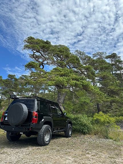 Nissan Patrol 4 of 11