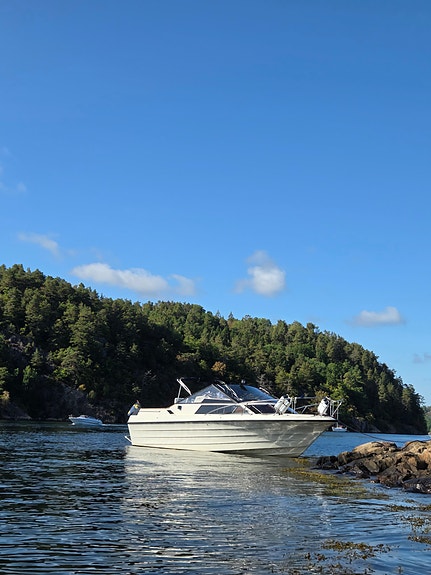 Draco 2400 DC / Daycruiser – Volvo Penta 5.7 GXI (Insprutning/Duoprop) 3 of 14