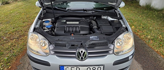 Volkswagen Golf V 16 of 18