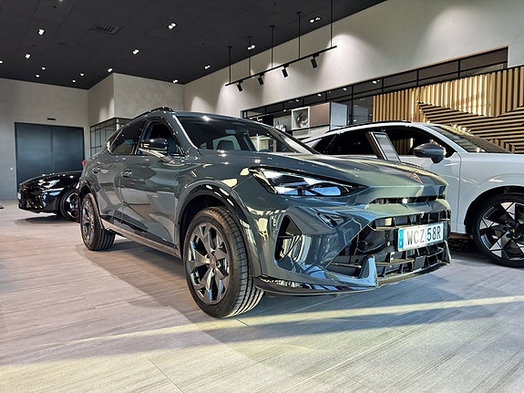 Cupra Unknown