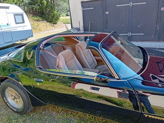 Pontiac Trans Am 5 of 9