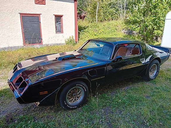 Pontiac Trans Am 8 of 9