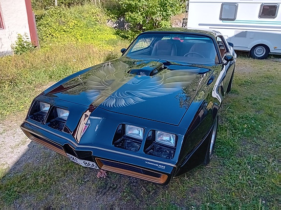 Pontiac Trans Am 6 of 9