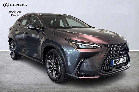 Lexus NX450h+ 18 of 25
