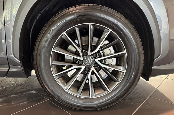 Lexus NX450h+ 15 of 25