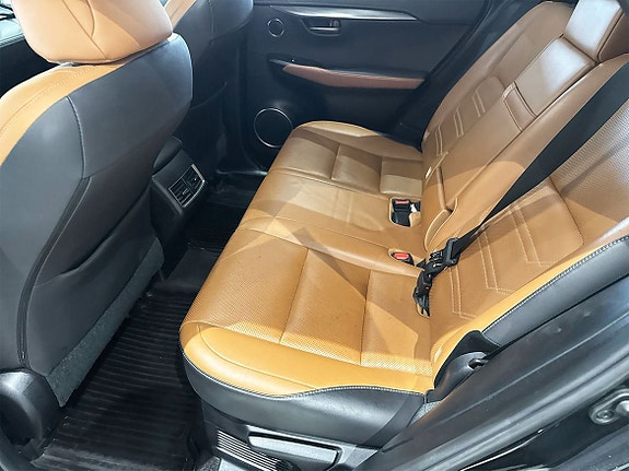 Lexus NX300h 9 of 10