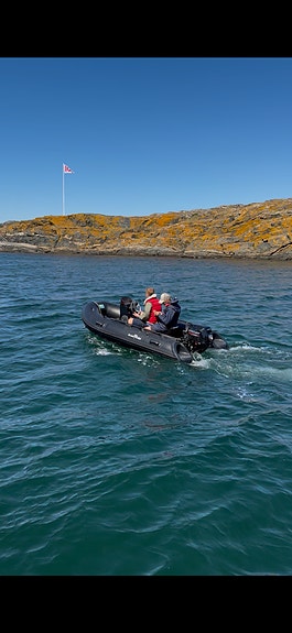 Great White 330 RIB med Mercury 20hk -22 3 of 3