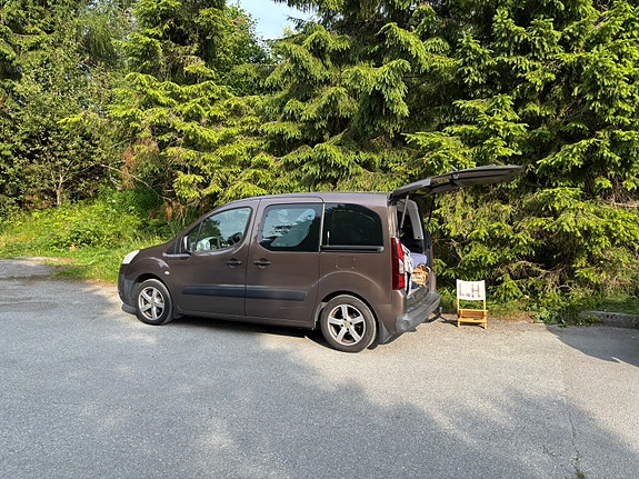 Peugeot Partner Tepee 9 of 12