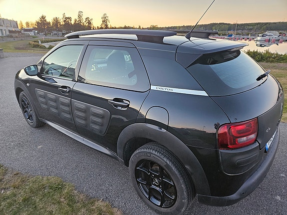 Citroen C4 Cactus 10 of 21