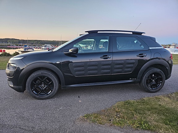Citroen C4 Cactus 17 of 21