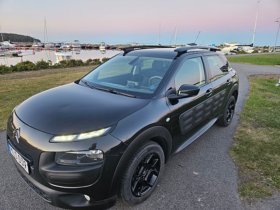 Citroen C4 Cactus 12 of 21