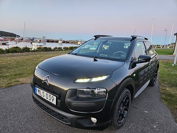 Citroen C4 Cactus 16 of 21