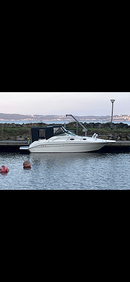 Sea Ray 250 Sundancer 7 of 17