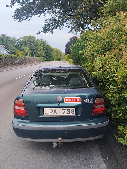 Skoda Octavia 4 of 5