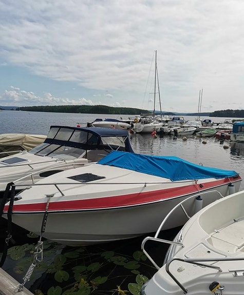 Wellcraft 210 XL daycruiser 8 of 8