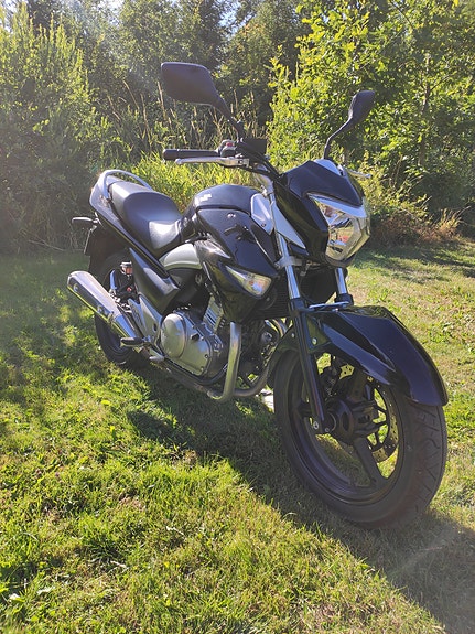 Suzuki SUZUKI GW250 2 of 11
