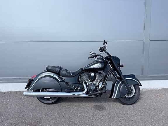 Indian Dark Horse