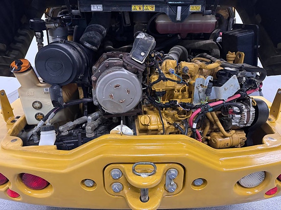 Cat 908M 6 of 6
