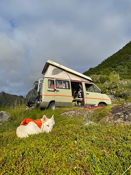 Renault trafic 1 12 of 18