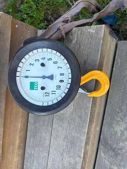 Kranvåg Teo teknik 1250-SK 5 1250kg 4 of 4