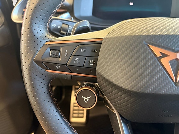 Cupra Terramar 20 of 21