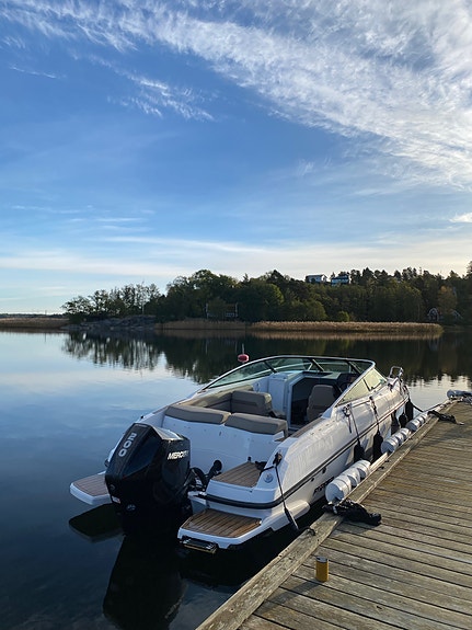 Flipper 650 DC -2019 Mercury F200 EFI DTS -2019 3 of 6