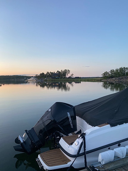 Flipper 650 DC -2019 Mercury F200 EFI DTS -2019 5 of 6
