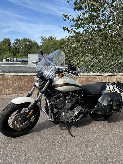 Harley-Davidson 1200 Custom 3 of 3