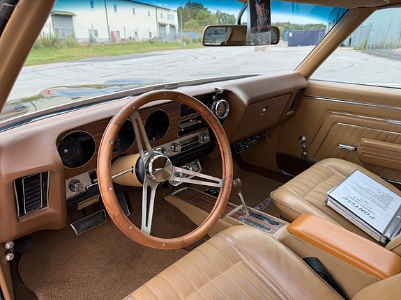 Pontiac LeMans 10 of 18
